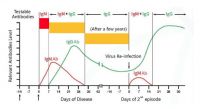 Test for the determination of IgG and IgM antibodies of coronavirus infection COVID-19 in blood samples. Free shipping